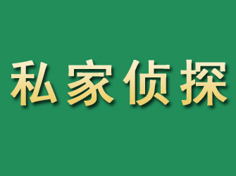 凌河市私家正规侦探